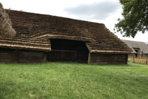 Read more about the article The Lasowiacy: An Introduction