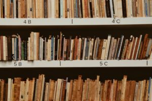 Read more about the article Death Vital Record Search Just Added